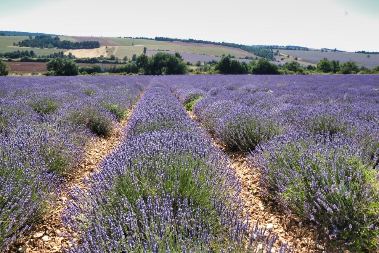 La Bastide Au Ventoux Bed & Breakfast Bédoin Dış mekan fotoğraf
